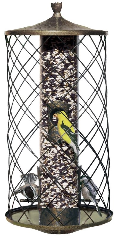 Alternate view