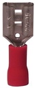 Alternate view