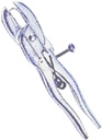 Alternate view