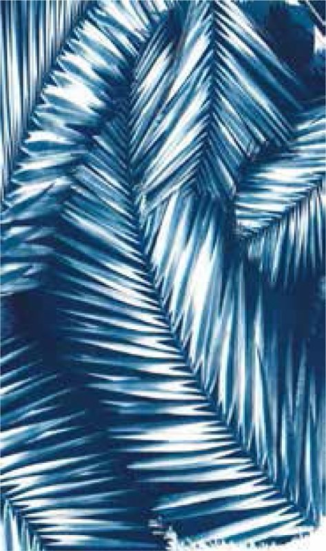 Alternate view