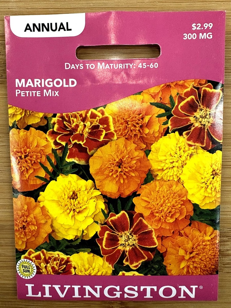 LV MARIGOLD - JOLLY JESTER