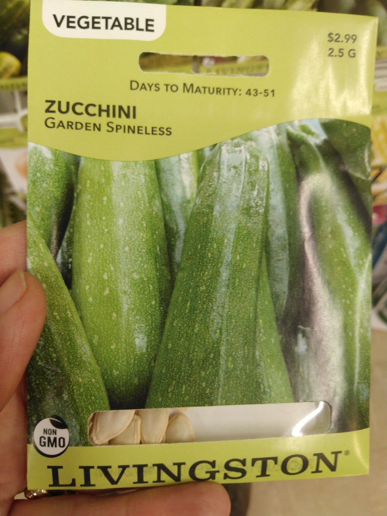 Zucchini garden spineless