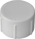 PRESSURE CAP PVC FIP 1-1/4    
