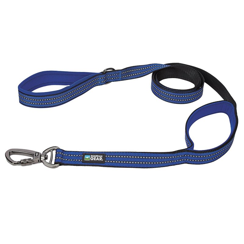 REFLEC DBL-HNDL LEASH BLUE 6FT