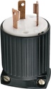 PLUG 30A TWISTLOCK GND 2P3W   