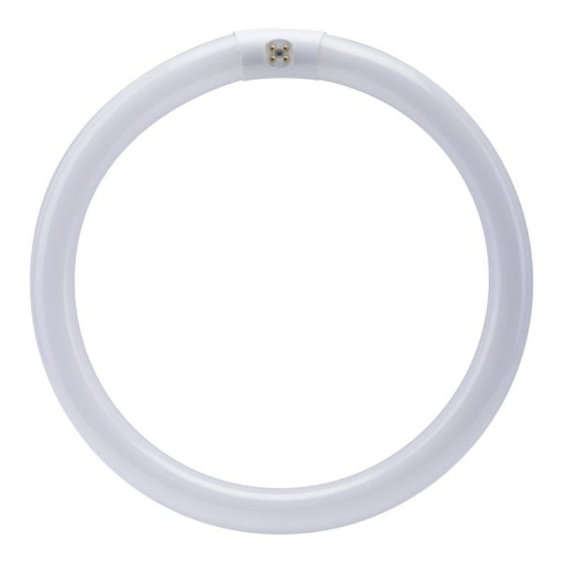 [8482432] BULB FLUOR CIR WW 4PN 12IN 32W