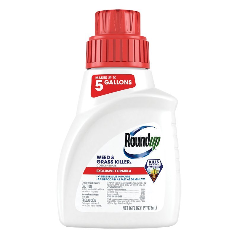 KILLER WEED & GRASS CONC 16OZ 