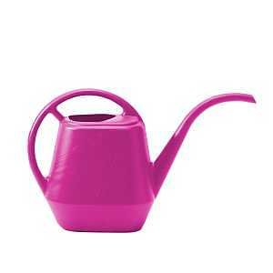 AQUA RIT WTR CAN FUSCHIA 56OZ 