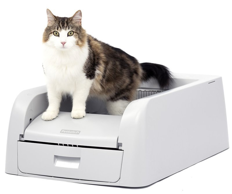 BOX LITTER SLF-CLNG CAT CLMPNG