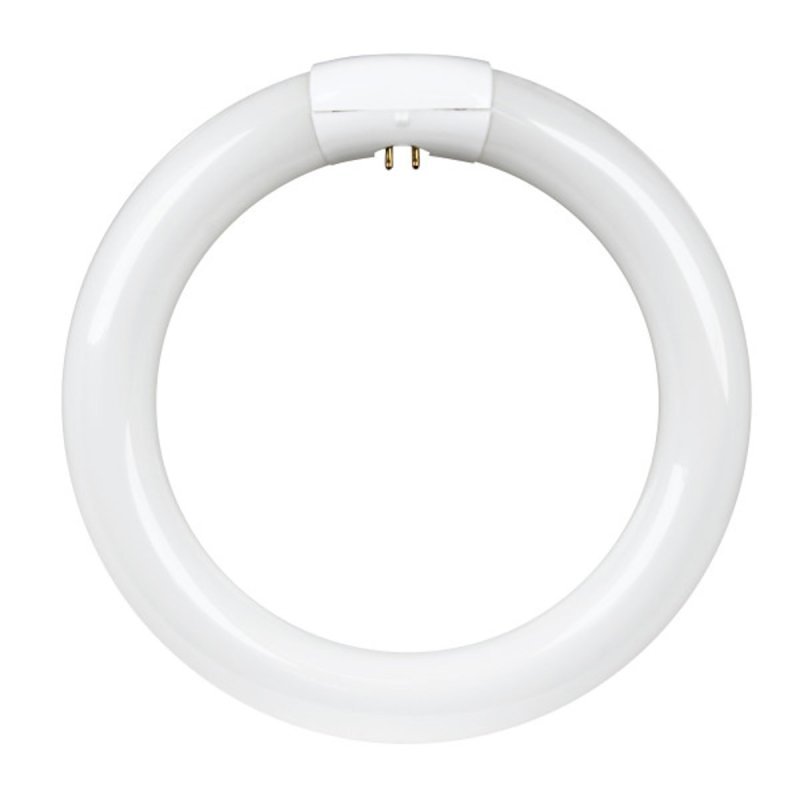 BULB FLUOR CLR 4PN CWHT T9 22W