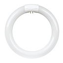 BULB FLUOR CLR 4PN CWHT T9 22W