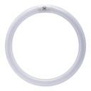 BULB FLUOR CLR 4PN CWHT T9 32W