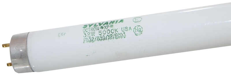 BULB FLUOR DAYLT 48IN T8 32W  