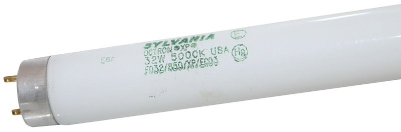 [3869856] BULB FLUOR DAYLT 48IN T8 32W  