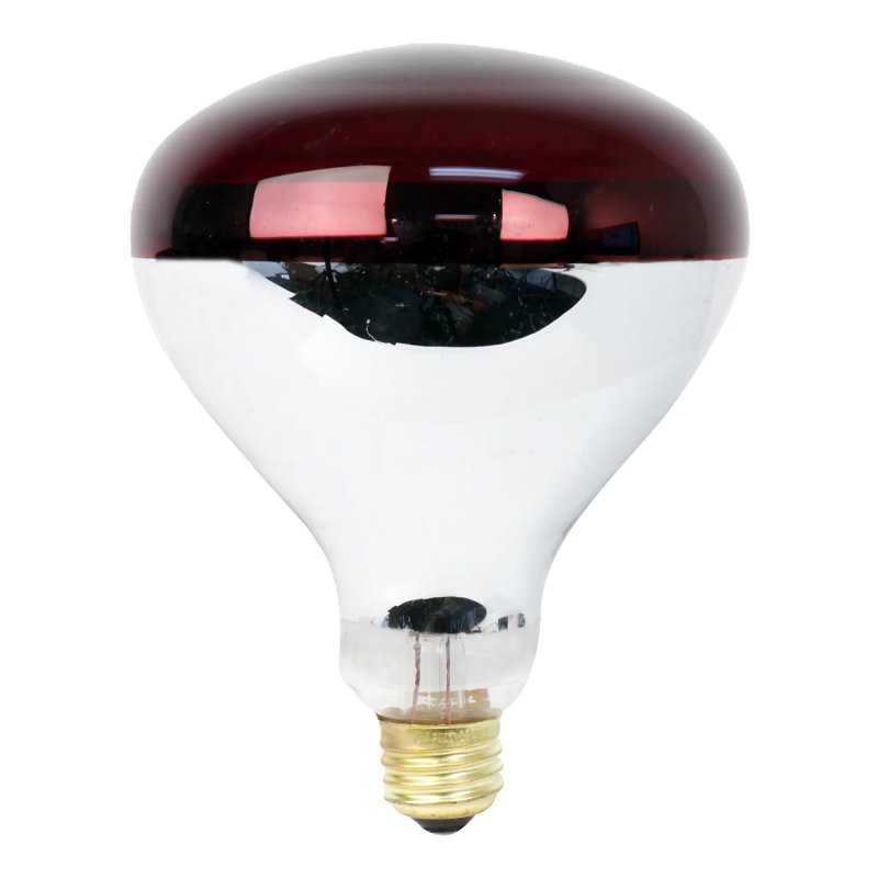 BULB INCAN R40 HEAT FLOOD 250W