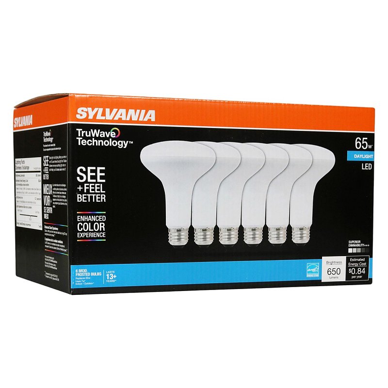 BULB LED BR30 DAYLIGHT 65W    