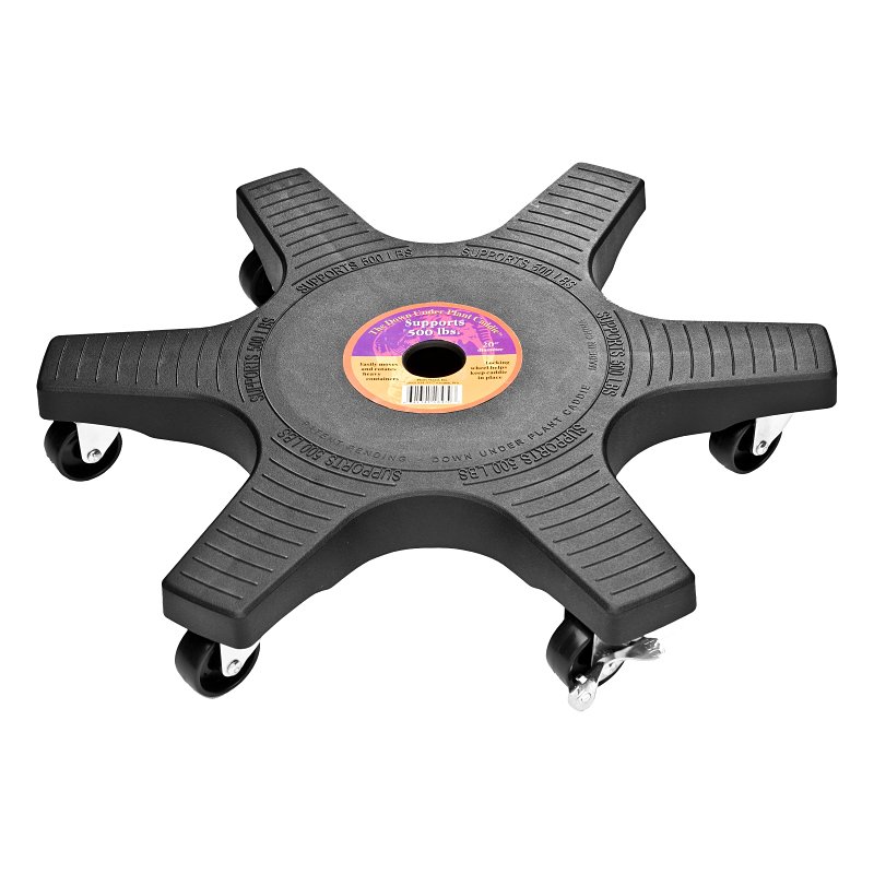 CADDIE PLANT DWN UNDR BLK 20IN