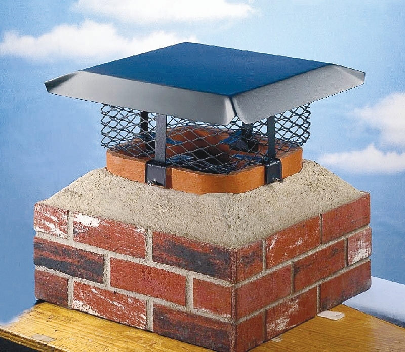 CAP CHIMNEY ADJ 3/4IN MESH    