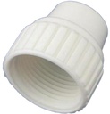 CAP PEX POLY 3/4 IN           