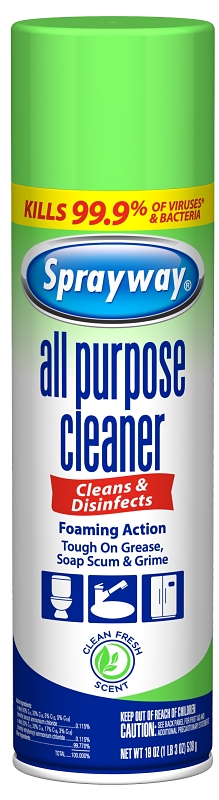 CLEANER ALLPURP AEROSOL 19OZ  