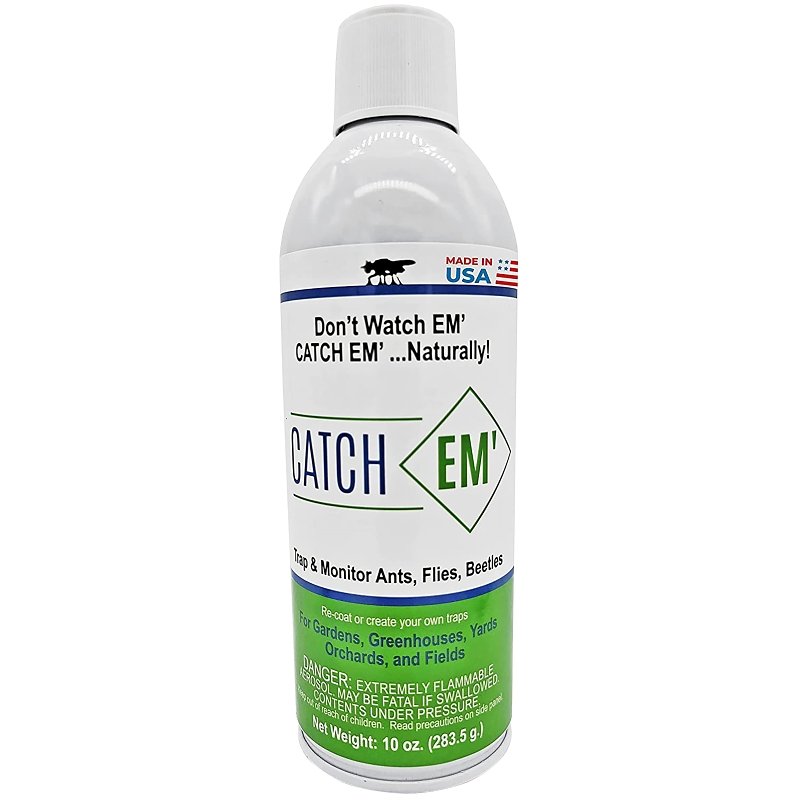 COATING TRAP INSECT SPRY 10OZ 