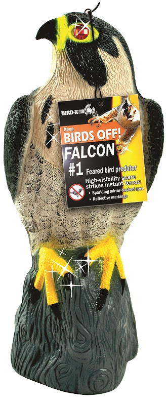DECOY FALCON PLASTIC          