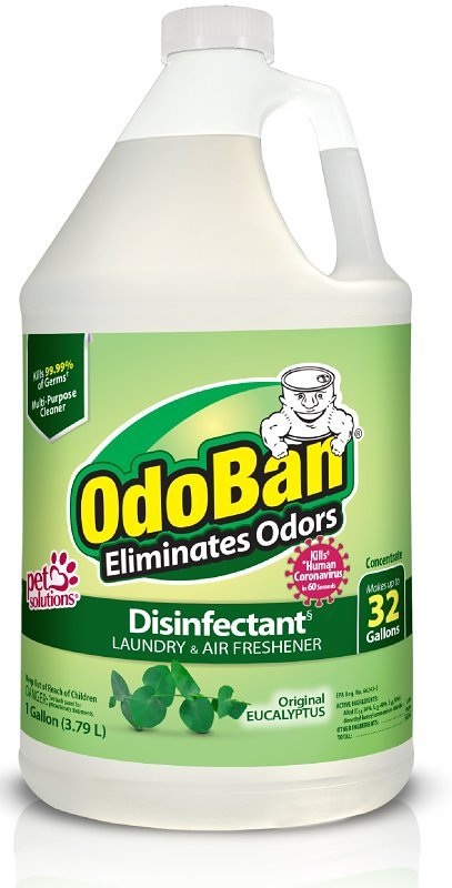 DISINFECTANT EUCALYPTUS 1GA   