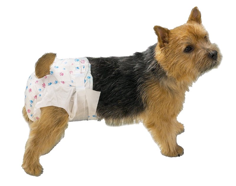 DOGGY DIAPERS DISPOSABLE MINI 
