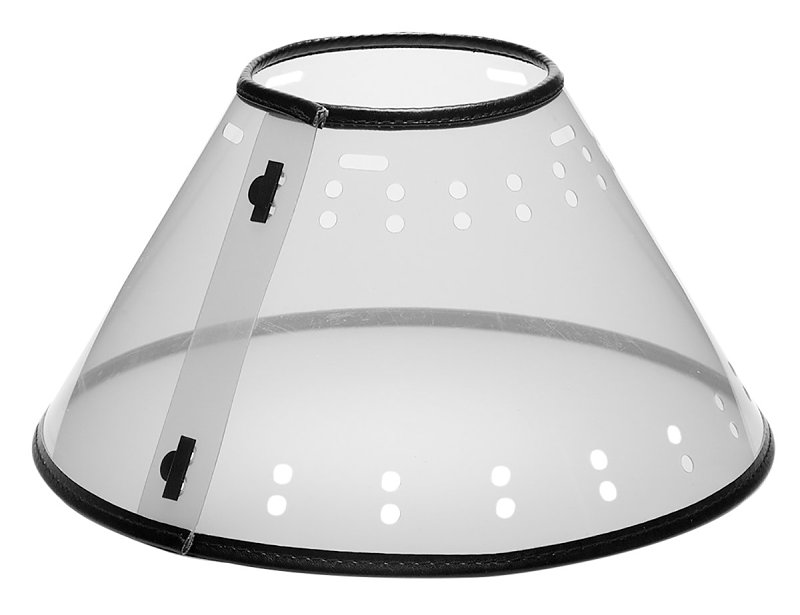 ELIZABETHN COLLAR CLR M 11.5IN