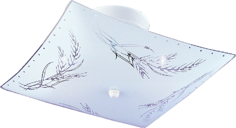 FIXTURE CEIL 2LT SQ SFLSH 12IN