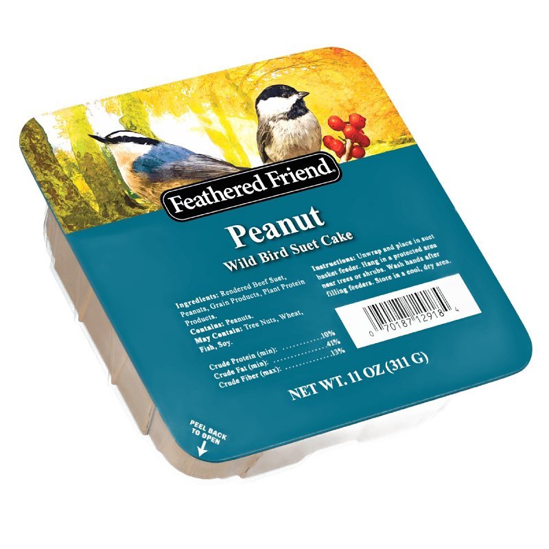 FOOD BD SUET PNUT-DLGT 11OZ   