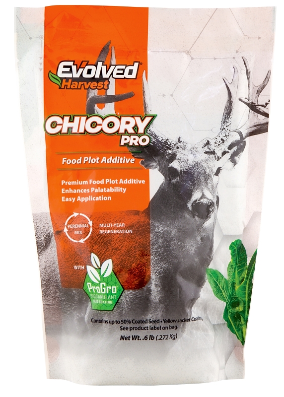 FOOD PLOT MIXER CHICORY 1LB   