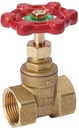 GATE VALVE 2IPS STD           
