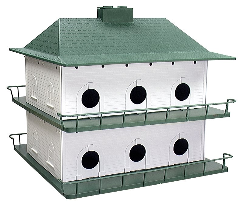 [6061600] HOUSE MARTIN PURPLE           