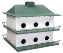 HOUSE MARTIN PURPLE           