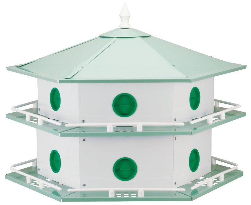 [6309116] HOUSE MARTIN PURPLE           