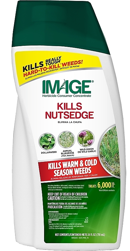 IMAGE FOR NUTSEDGE CONC 24OZ  