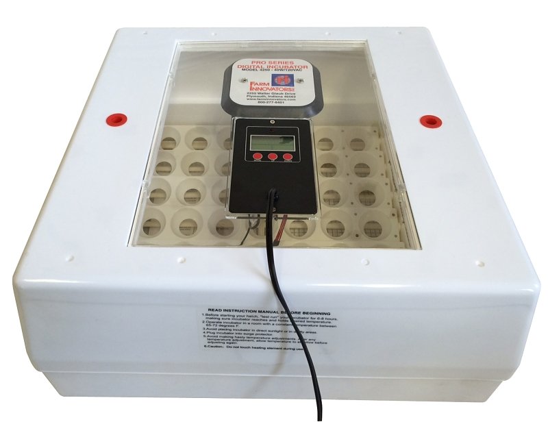 INCUBATOR DGTL W/AUTO EGG TURN