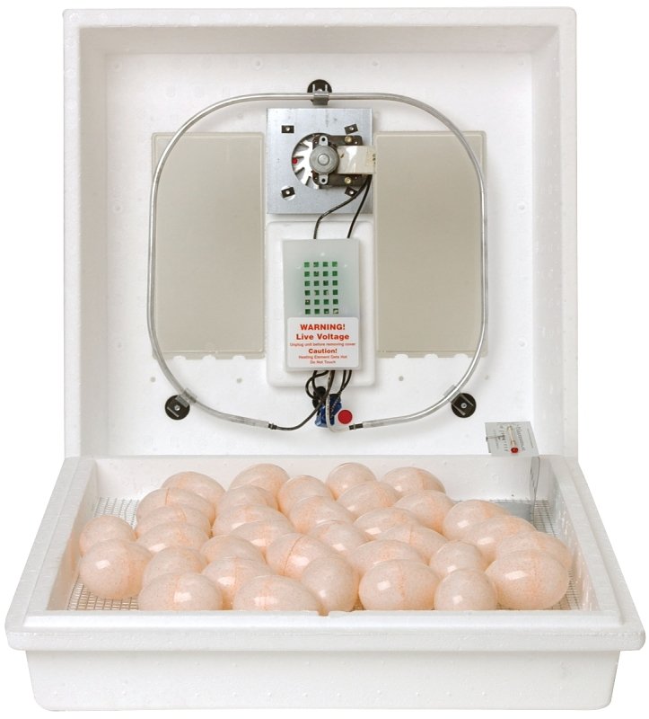 [2574663] INCUBATOR EGG AIR CIRCULATED  