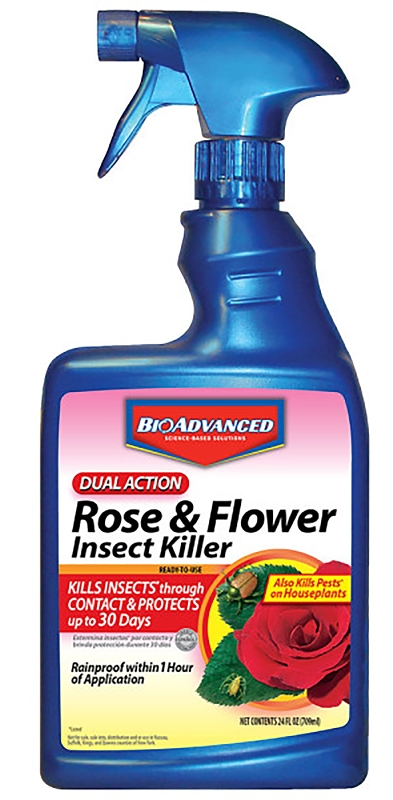 INSECT KILLER DUAL ACTION 24OZ