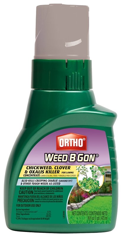 KILLER CHICKWEED CLOVER 16OZ  