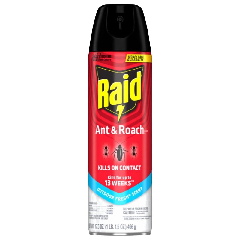 KILLER ROACH/ANT RAID 175OZ   