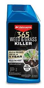 KILLER WEED & GRASS CONC 28OZ 