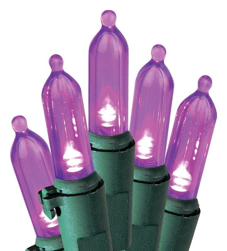 LIGHT SET LED PURPLE STS 50 L 