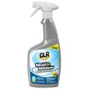 MOLD/MILDEW STAIN REMOVER 32OZ