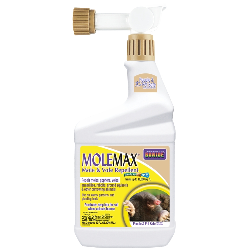 MOLEMAX RTS QT                
