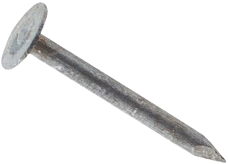 NAIL ROOFING EG 2IN 25LB      