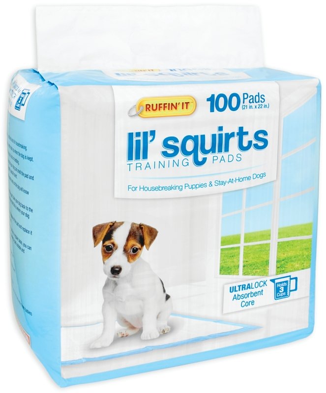 PADS TRAINING PET 100PK       