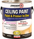 PAINT CEILING STAINBLOCK WB GA
