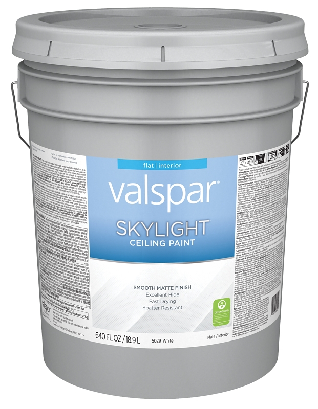 PAINT CEILING WHITE PAIL      